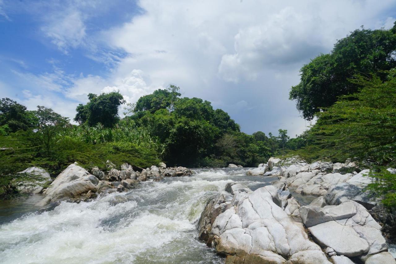 La Ponderosa Reserve Buritaca Kültér fotó