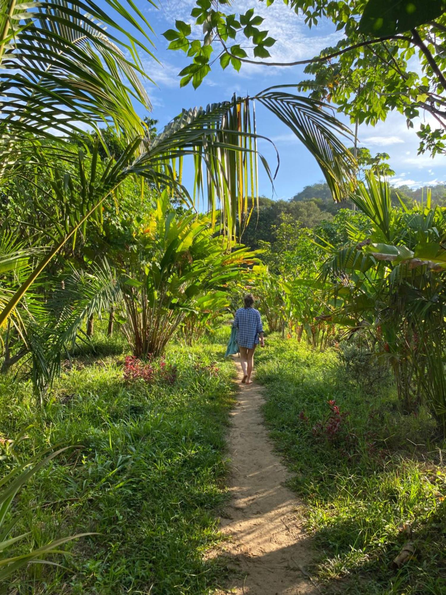La Ponderosa Reserve Buritaca Kültér fotó
