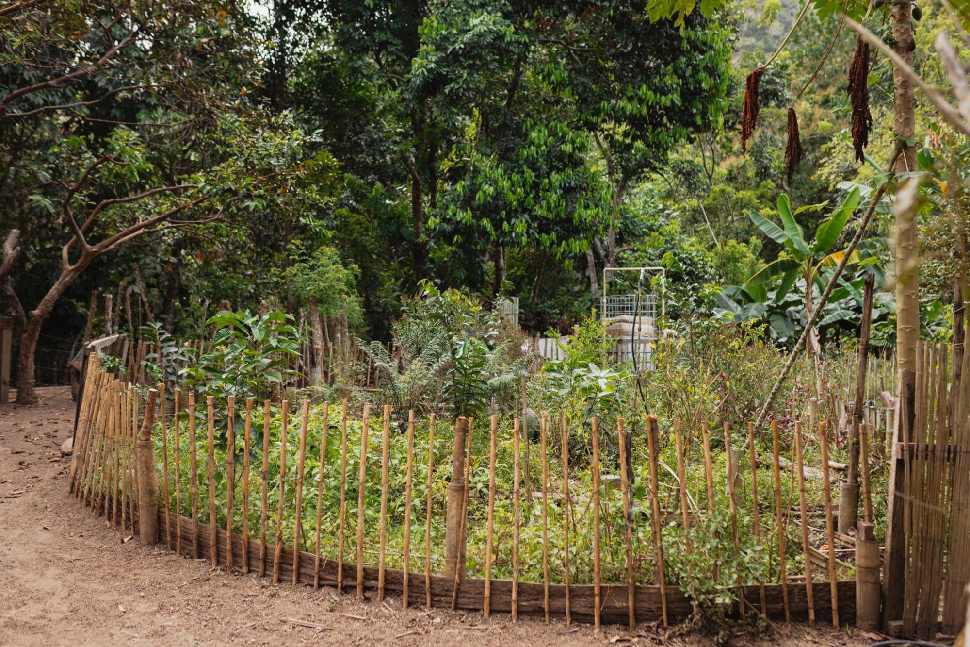 La Ponderosa Reserve Buritaca Kültér fotó