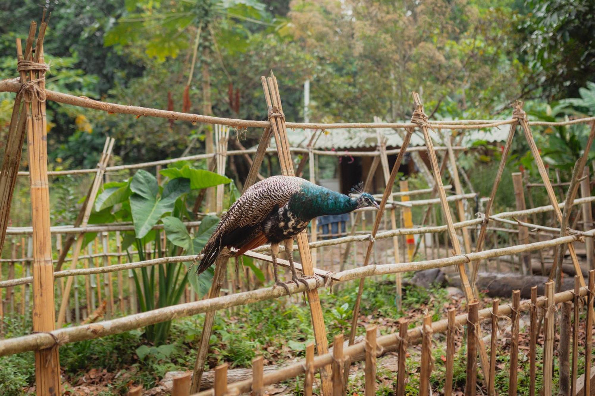 La Ponderosa Reserve Buritaca Kültér fotó